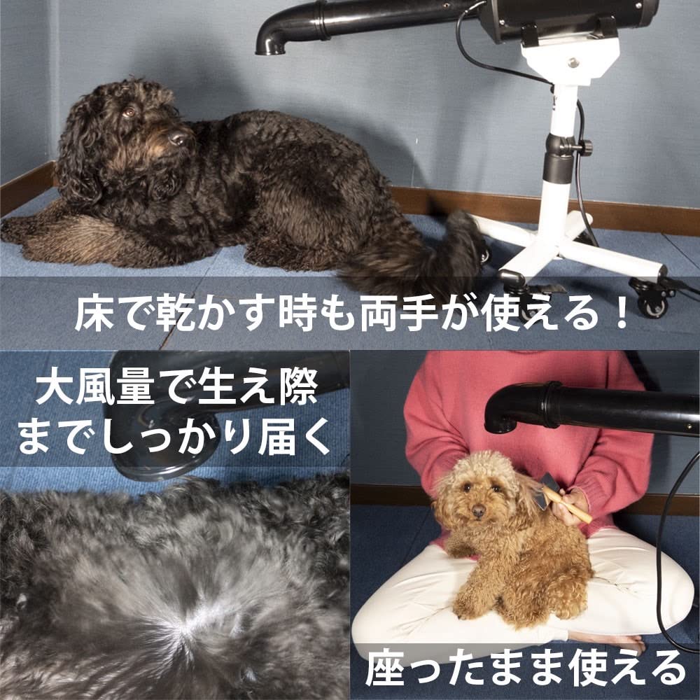 Amazon | DOG One 床で乾かす子に ロータイプスタンド 犬